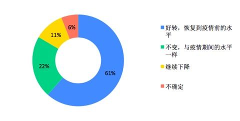 软件开发团队2020年度经营状况报告